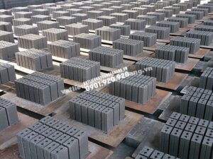 gach khong nung SVBQ