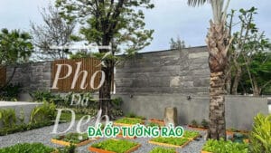 da op tuong rao