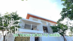 da trung dong 1