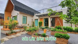 soi lat san vuon 1