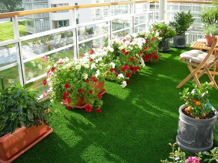 Cỏ mang lại vẻ đẹp tự nhiên cho sân vườn