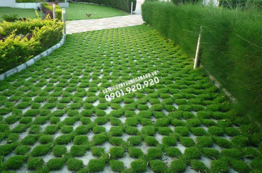 MÔ HÌNH SÂN VƯỜN VỚI SỰ KẾT HỢP GIỮA CỎ VÀ GẠCH LỖ BÊ TÔNG